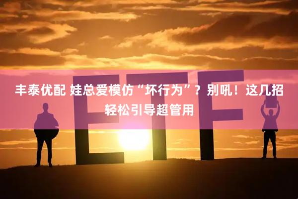 丰泰优配 娃总爱模仿“坏行为”？别吼！这几招轻松引导超管用