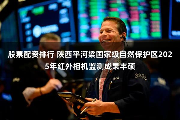 股票配资排行 陕西平河梁国家级自然保护区2025年红外相机监测成果丰硕